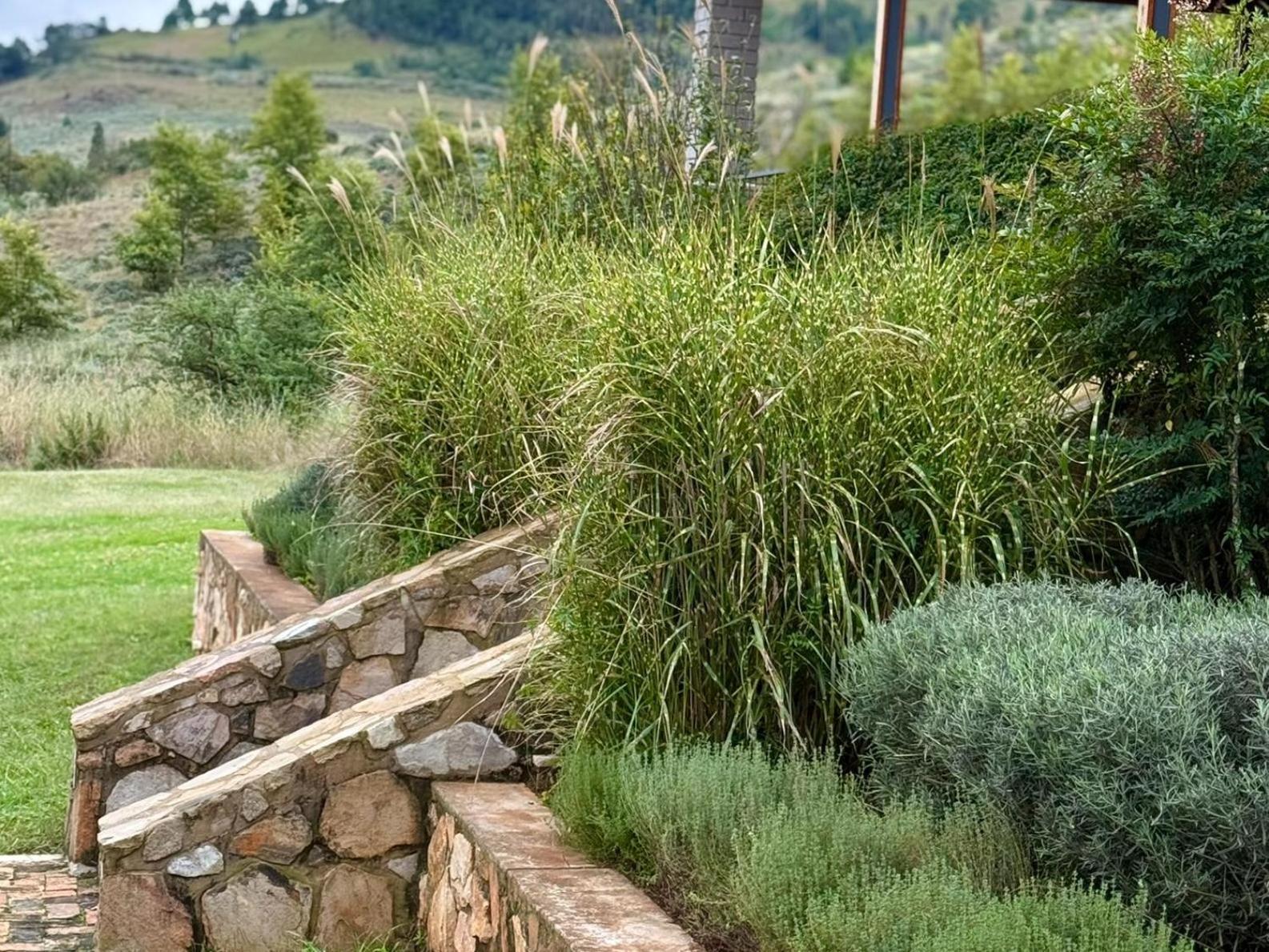 Stone Creek Mountain Lodge Dullstroom Bagian luar foto
