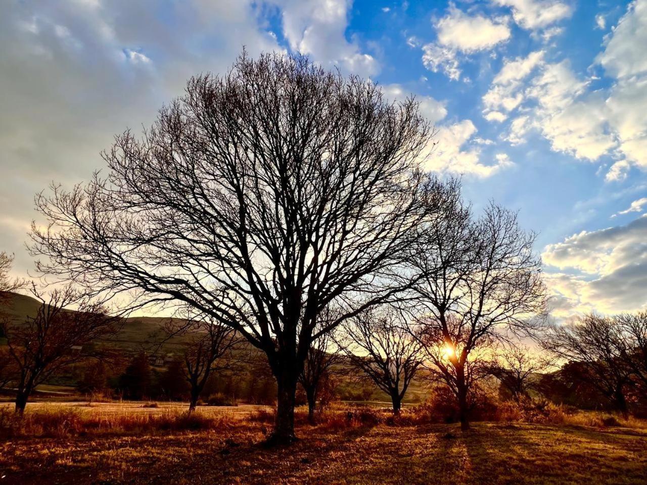 Stone Creek Mountain Lodge Dullstroom Bagian luar foto