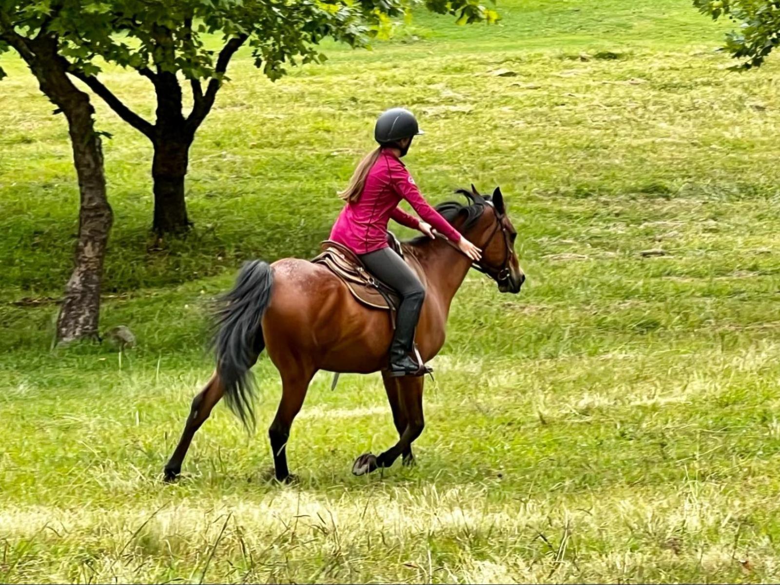 Stone Creek Mountain Lodge Dullstroom Bagian luar foto